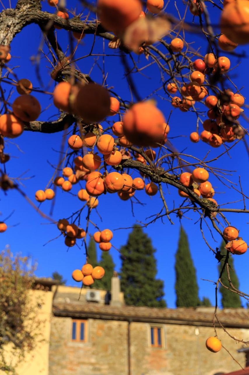 Agriturismo Fattoria Santo Stefano グレーヴェ・イン・キアンティ エクステリア 写真